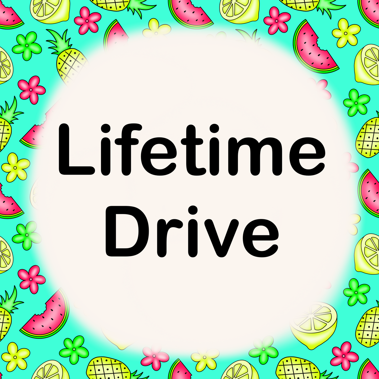 Lifetime Drive