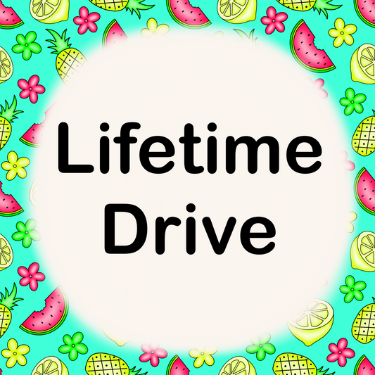 Lifetime Drive